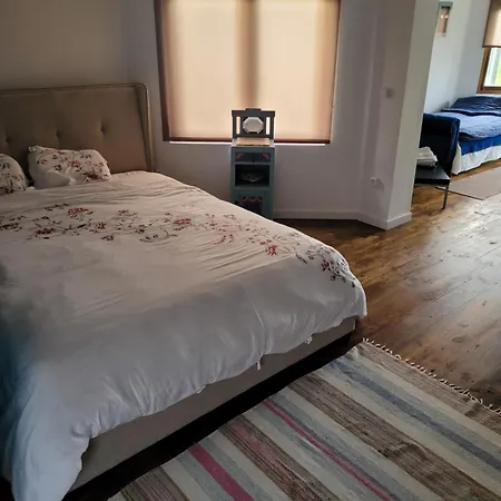 The Vie Llage - Olive Tree Double * ヴァゴス