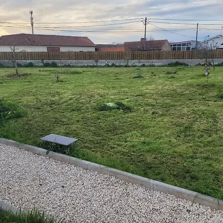 The Vie Llage - Olive Tree Double ヴァゴス